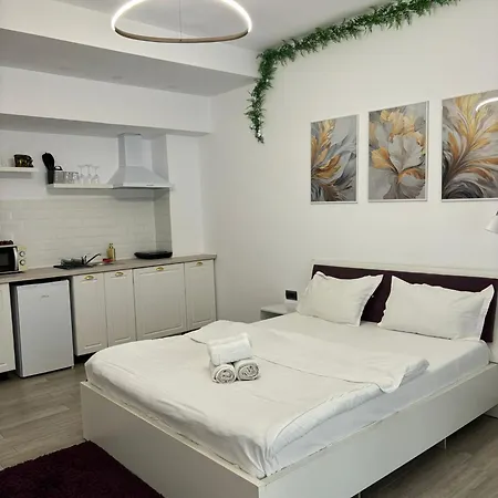 Ametist Apartment *